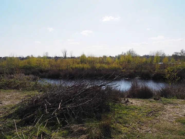 Kalkense Meersen (België)